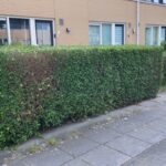 A07B1151-320C-4527-861A-04A4F4BC96FC